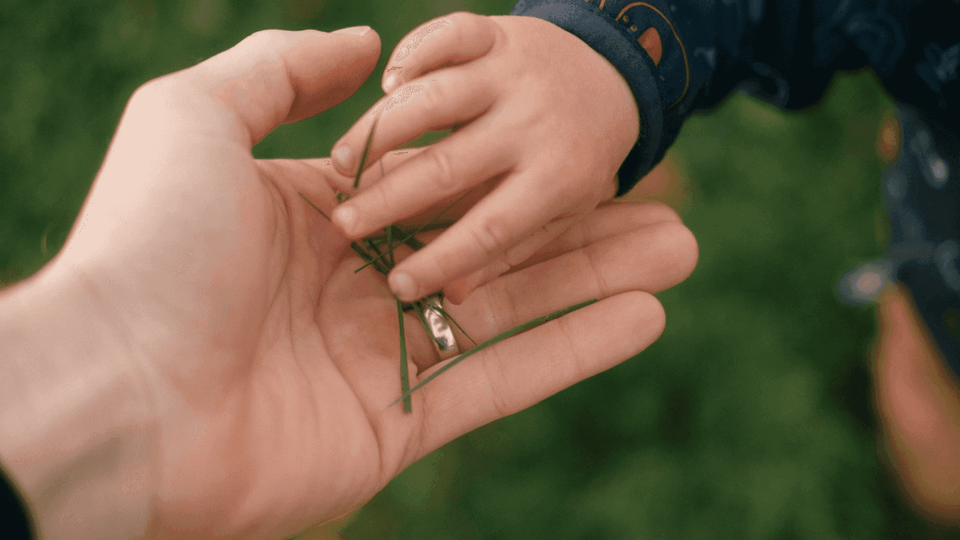 На фото доросла рука тримає руку дитини