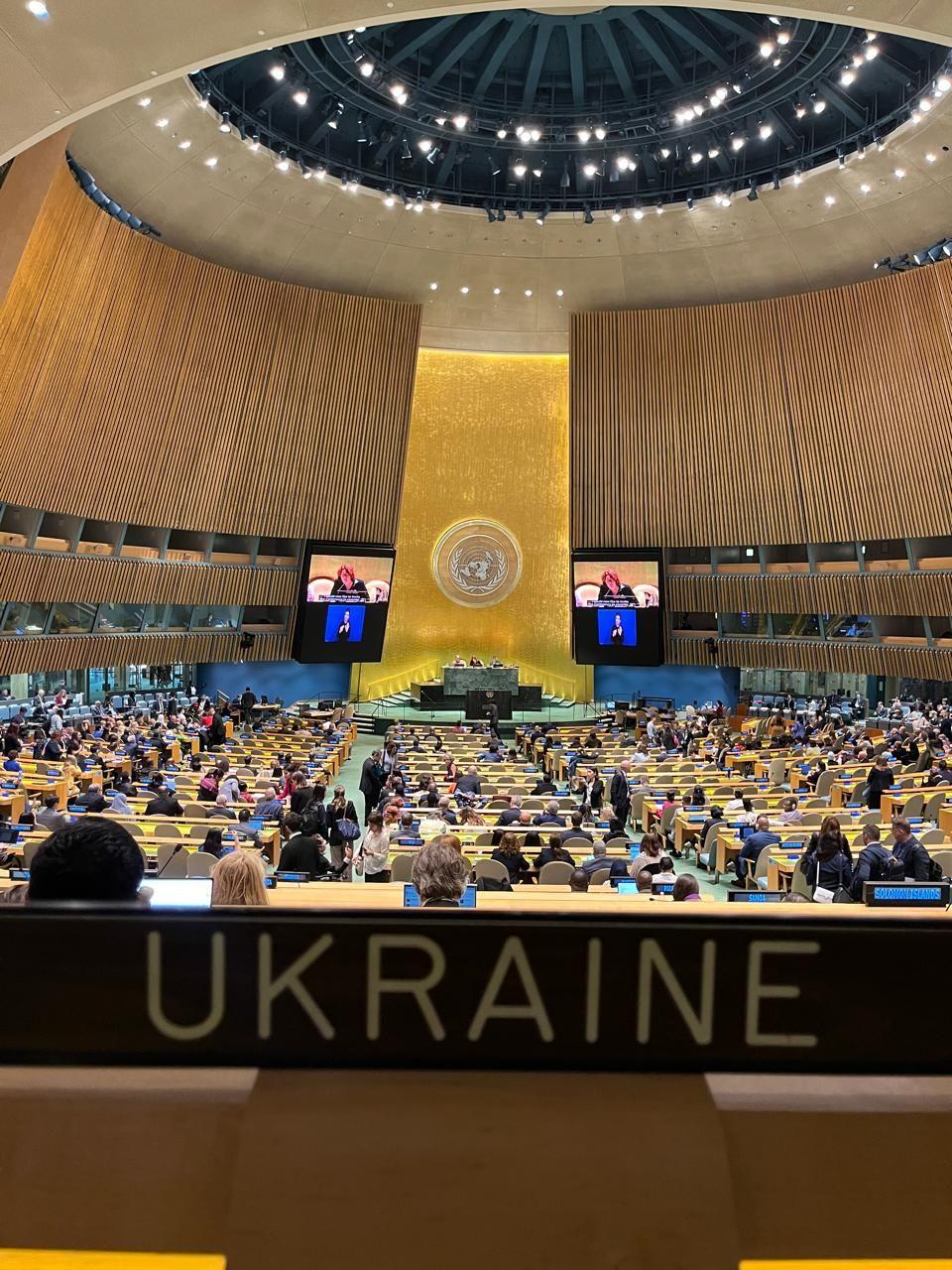 На фото надпис Ukraine на фоні залу засідань