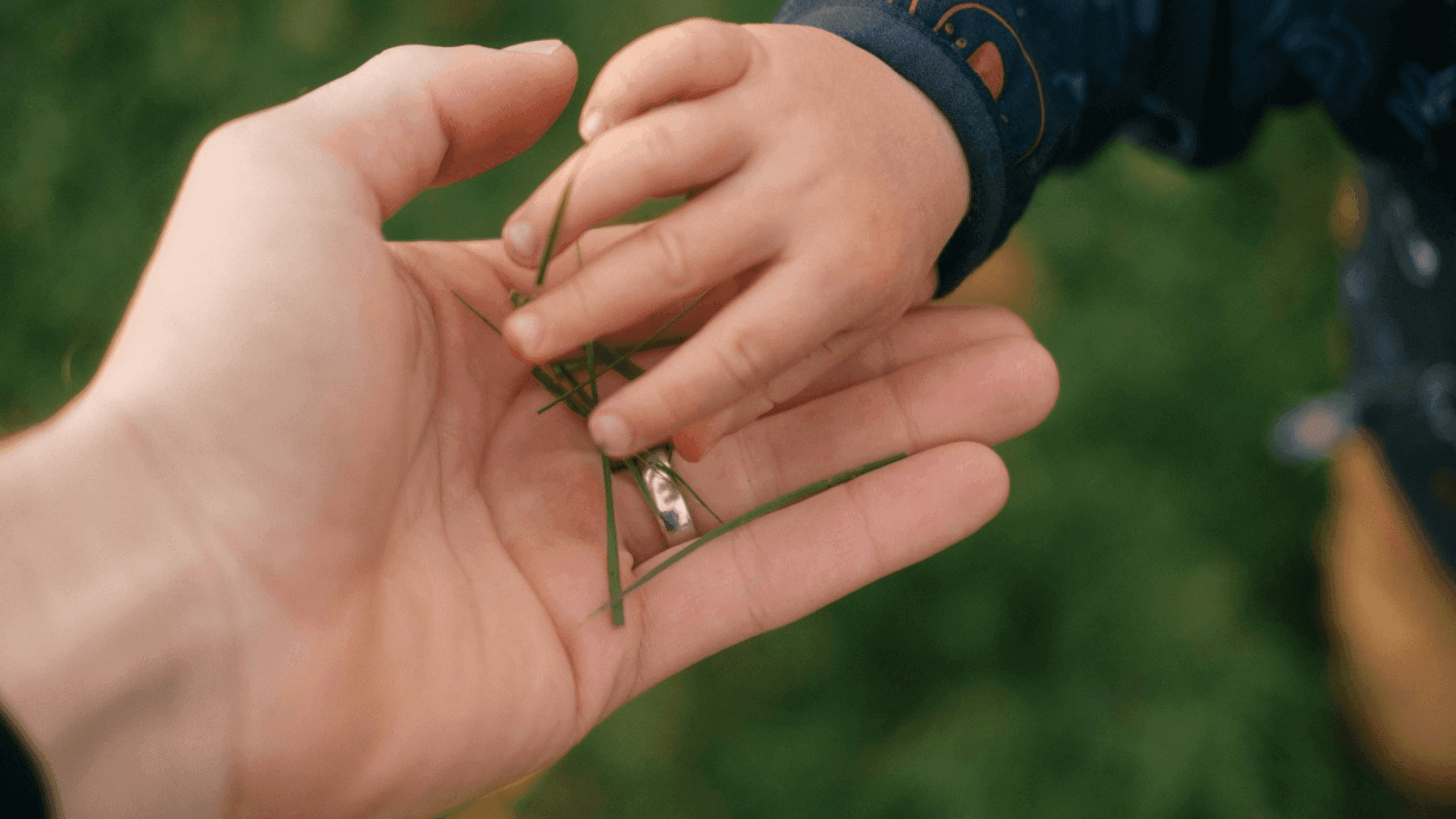 На фото доросла рука тримає руку дитини